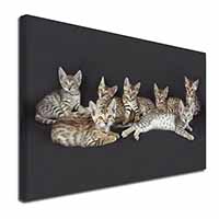 Bengal Kittens Posing for Camera Canvas X-Large 30"x20" Wall Art Print