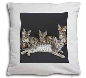 Bengal Kittens Posing for Camera Soft White Velvet Feel Scatter Cushion