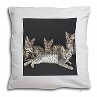 Bengal Kittens Posing for Camera Soft White Velvet Feel Scatter Cushion