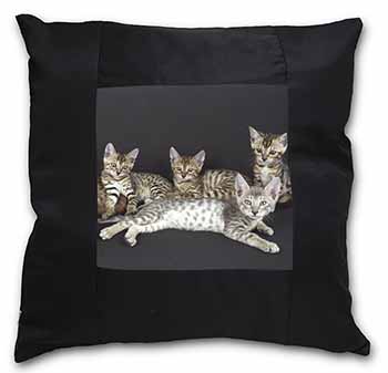 Bengal Kittens Posing for Camera Black Satin Feel Scatter Cushion