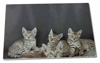 Large Glass Cutting Chopping Board Bengal Kittens Posing for Camera
