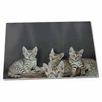 Large Glass Cutting Chopping Board Bengal Kittens Posing for Camera