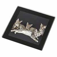 Bengal Kittens Posing for Camera Black Rim High Quality Glass Coaster