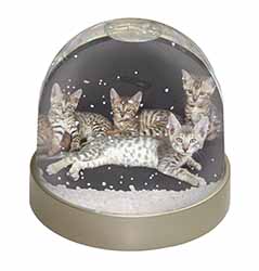 Bengal Kittens Posing for Camera Snow Globe Photo Waterball