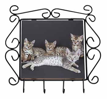 Bengal Kittens Posing for Camera Wrought Iron Key Holder Hooks