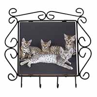 Bengal Kittens Posing for Camera Wrought Iron Key Holder Hooks