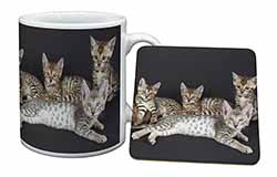 Bengal Kittens Posing for Camera Mug and Coaster Set