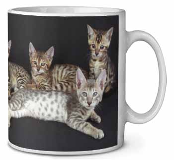 Bengal Kittens Posing for Camera Ceramic 10oz Coffee Mug/Tea Cup