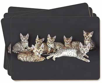 Bengal Kittens Posing for Camera Picture Placemats in Gift Box