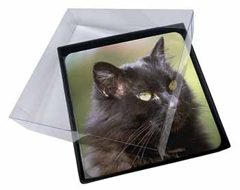 4x Beautiful Fluffy Black Cat Picture Table Coasters Set in Gift Box
