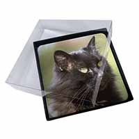 4x Beautiful Fluffy Black Cat Picture Table Coasters Set in Gift Box