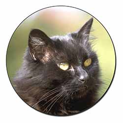Beautiful Fluffy Black Cat Fridge Magnet Printed Full Colour