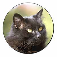 Beautiful Fluffy Black Cat Fridge Magnet Printed Full Colour