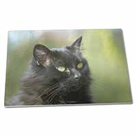 Large Glass Cutting Chopping Board Beautiful Fluffy Black Cat