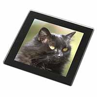 Beautiful Fluffy Black Cat Black Rim High Quality Glass Coaster