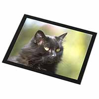 Beautiful Fluffy Black Cat Black Rim High Quality Glass Placemat