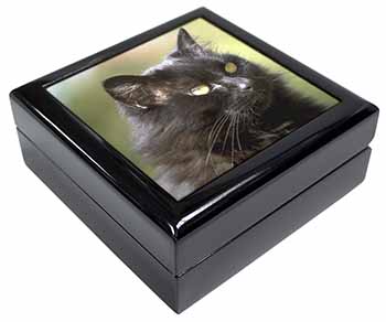 Beautiful Fluffy Black Cat Keepsake/Jewellery Box