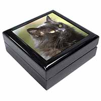 Beautiful Fluffy Black Cat Keepsake/Jewellery Box