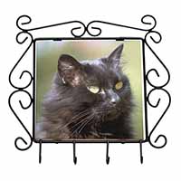 Beautiful Fluffy Black Cat Wrought Iron Key Holder Hooks