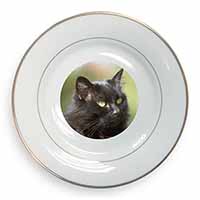 Beautiful Fluffy Black Cat Gold Rim Plate Printed Full Colour in Gift Box