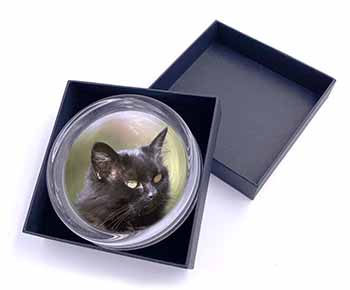 Beautiful Fluffy Black Cat Glass Paperweight in Gift Box