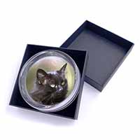 Beautiful Fluffy Black Cat Glass Paperweight in Gift Box