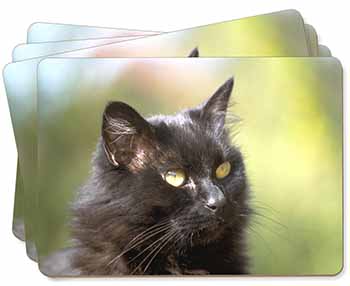 Beautiful Fluffy Black Cat Picture Placemats in Gift Box