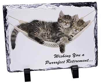 Kittens on Hammock 