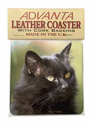 Beautiful Fluffy Black Cat Single Leather Photo Coaster