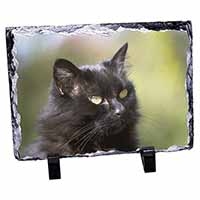 Beautiful Fluffy Black Cat, Stunning Photo Slate