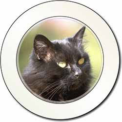 Beautiful Fluffy Black Cat Car or Van Permit Holder/Tax Disc Holder