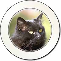 Beautiful Fluffy Black Cat Car or Van Permit Holder/Tax Disc Holder