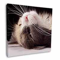 Cat in Ecstacy Square Canvas 12"x12" Wall Art Picture Print