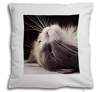 Cat in Ecstacy Soft White Velvet Feel Scatter Cushion