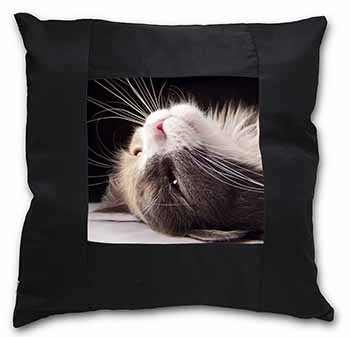 Cat in Ecstacy Black Satin Feel Scatter Cushion