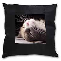 Cat in Ecstacy Black Satin Feel Scatter Cushion