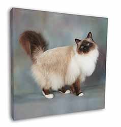 Gorgeous Birman Cat Square Canvas 12"x12" Wall Art Picture Print