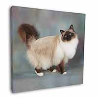 Gorgeous Birman Cat Square Canvas 12"x12" Wall Art Picture Print