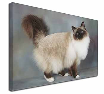 Gorgeous Birman Cat Canvas X-Large 30"x20" Wall Art Print