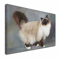 Gorgeous Birman Cat Canvas X-Large 30"x20" Wall Art Print