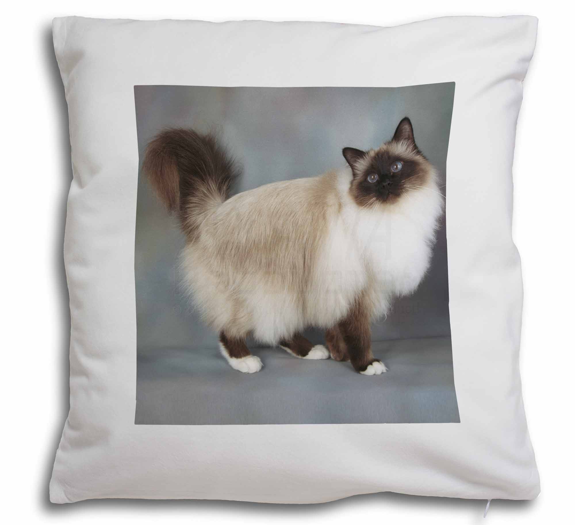 AC-30-CPW Gorgeous Birman Cat Soft Velvet Feel Cushion Cover With Inner Pillow