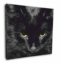 Gorgeous Black Cat Square Canvas 12"x12" Wall Art Picture Print