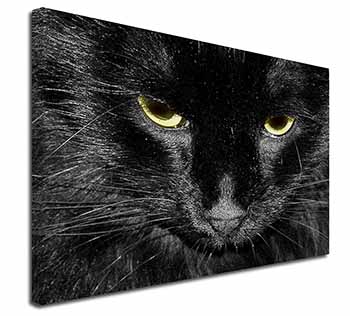 Gorgeous Black Cat Canvas X-Large 30"x20" Wall Art Print