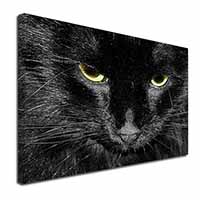 Gorgeous Black Cat Canvas X-Large 30"x20" Wall Art Print