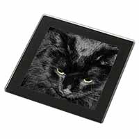 Gorgeous Black Cat Black Rim High Quality Glass Coaster