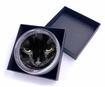 Gorgeous Black Cat Glass Paperweight in Gift Box