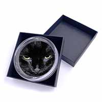 Gorgeous Black Cat Glass Paperweight in Gift Box