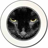 Gorgeous Black Cat Car or Van Permit Holder/Tax Disc Holder