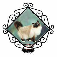 Gorgeous Birman Cat Wrought Iron Wall Art Candle Holder