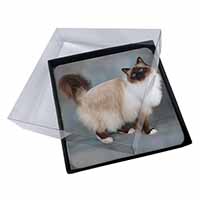 4x Gorgeous Birman Cat Picture Table Coasters Set in Gift Box